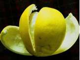 柚子皮真的可以除甲醛么？